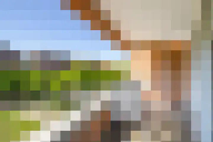 Sphinxlunet 127 C Maastricht thumbnail 11