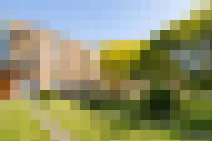 Sphinxlunet 127 C Maastricht thumbnail 14