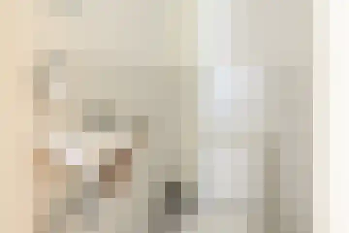 Sphinxlunet 127 C Maastricht thumbnail 9