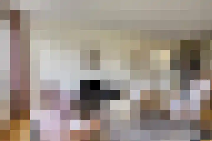 Sphinxlunet 149 C Maastricht thumbnail 11
