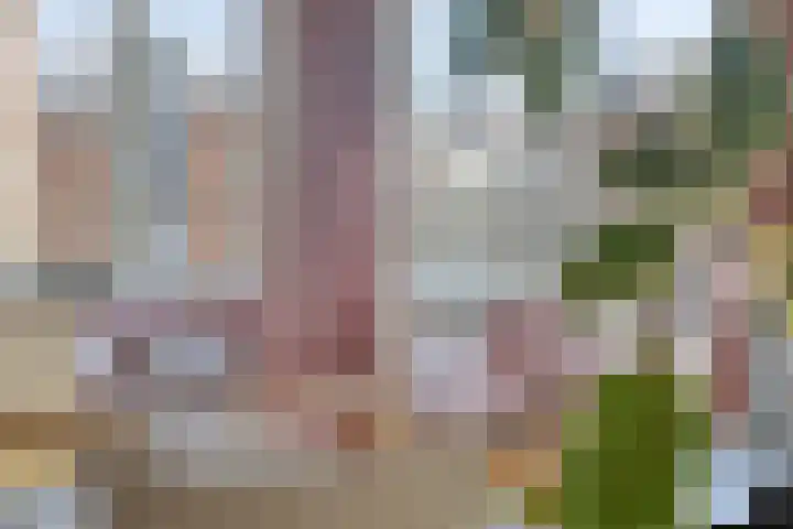 Sphinxlunet 149 C Maastricht thumbnail 12