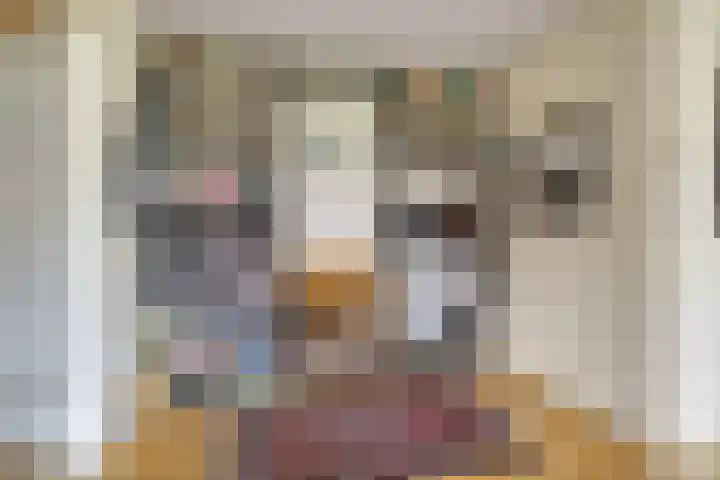 Sphinxlunet 149 C Maastricht thumbnail 13