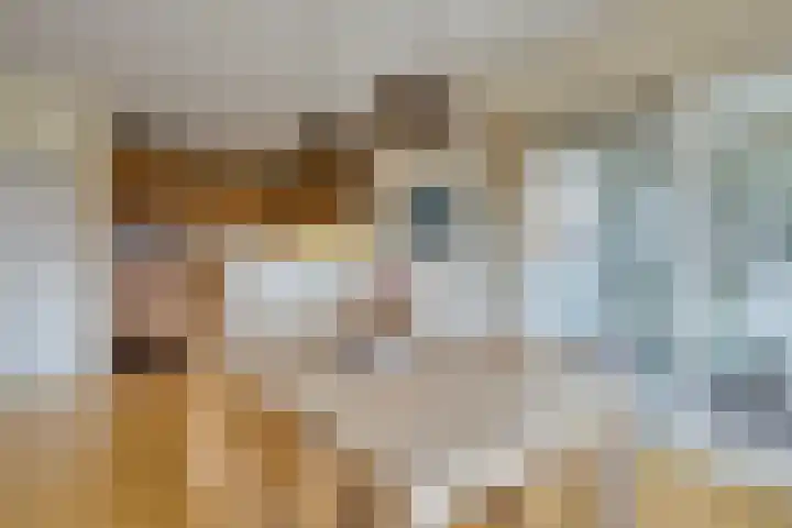 Sphinxlunet 149 C Maastricht thumbnail 15