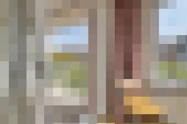 Sphinxlunet 149 C Maastricht thumbnail 24
