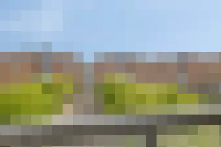 Sphinxlunet 149 C Maastricht thumbnail 27