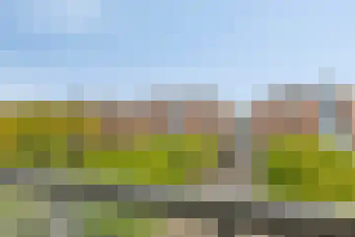 Sphinxlunet 149 C Maastricht thumbnail 28