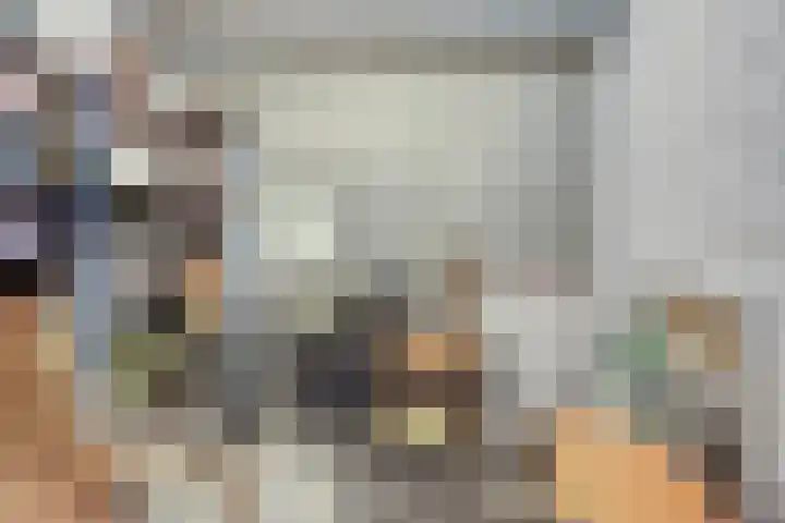 Sphinxlunet 149 C Maastricht thumbnail 29