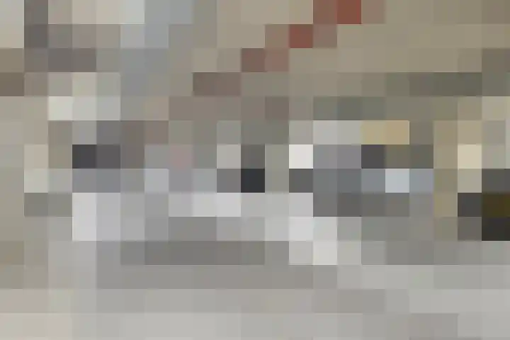 Sphinxlunet 149 C Maastricht thumbnail 31