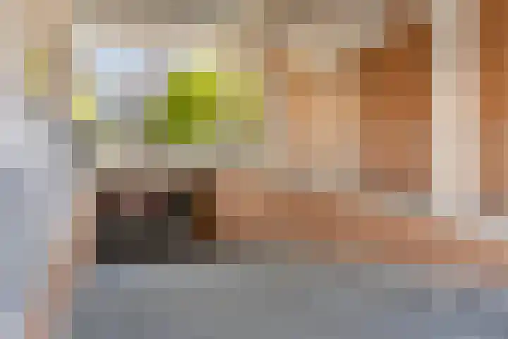 Sphinxlunet 149 C Maastricht thumbnail 33