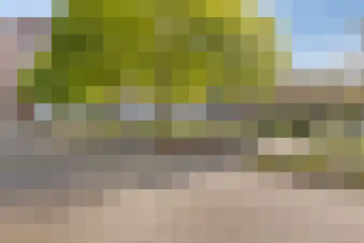 Sphinxlunet 149 C Maastricht thumbnail 34