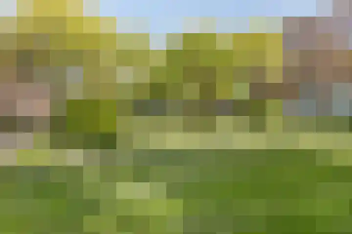 Sphinxlunet 149 C Maastricht thumbnail 35