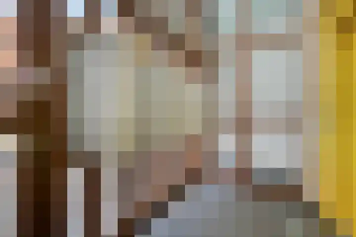 Sphinxlunet 149 C Maastricht thumbnail 4