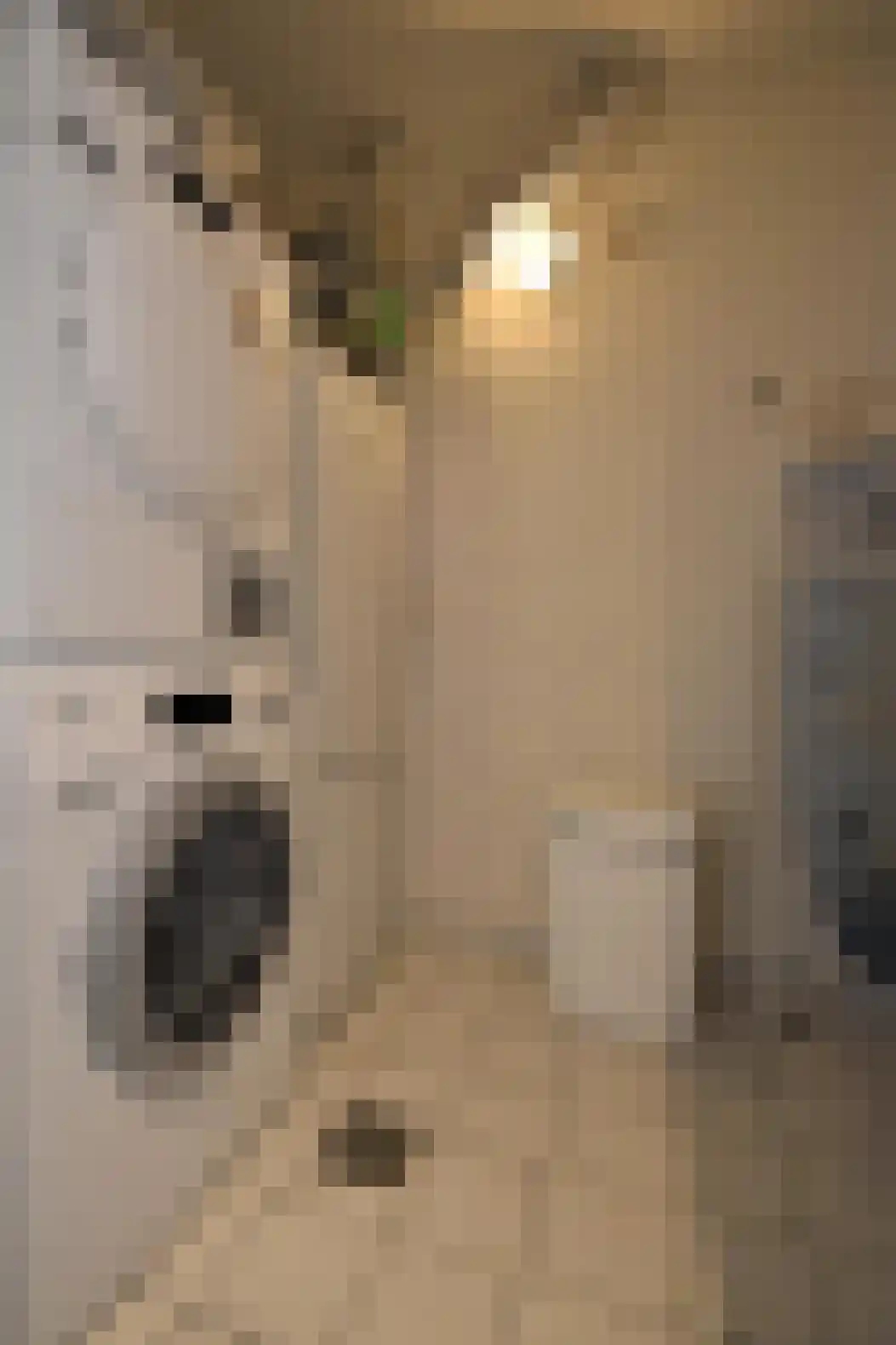 Sphinxlunet 151 Maastricht thumbnail 6