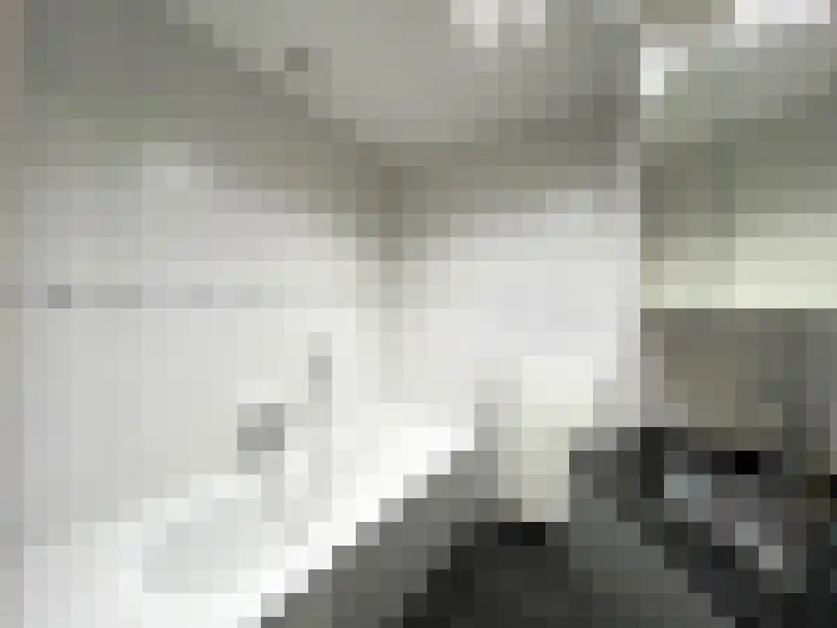 Sphinxlunet 173 Maastricht thumbnail 6