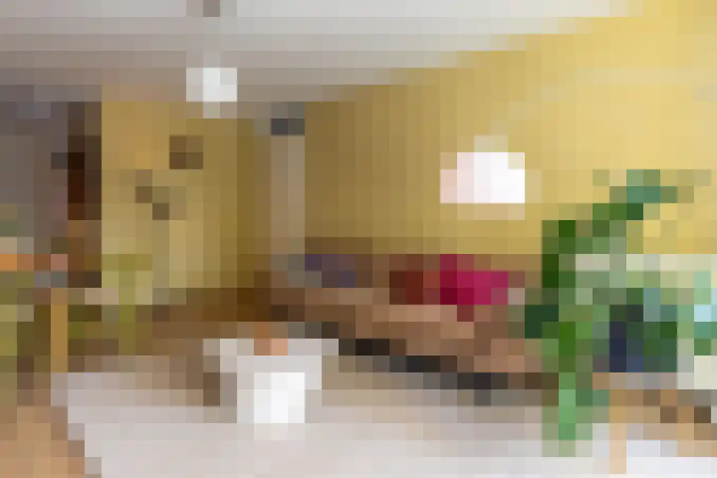 Sphinxlunet 30 A Maastricht thumbnail 6