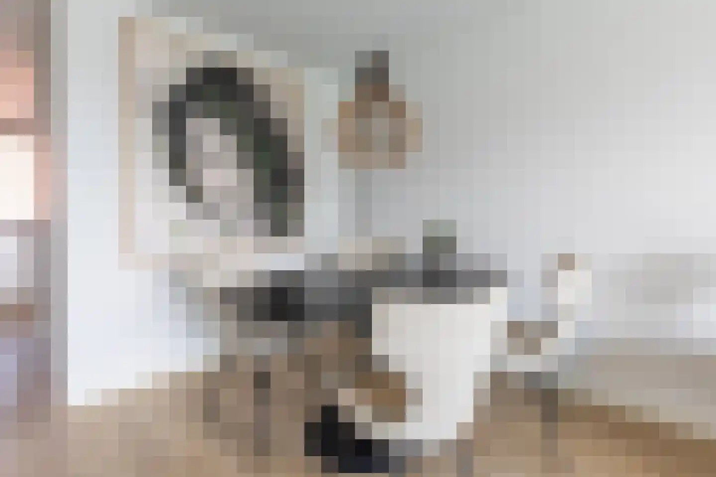 Sphinxlunet 32 E Maastricht thumbnail 6