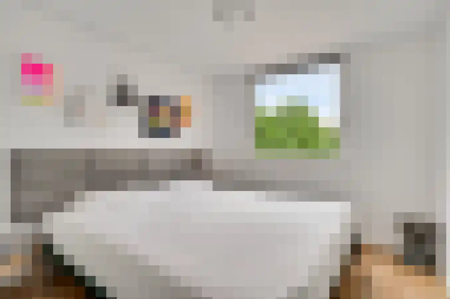 Sphinxlunet 36 B Maastricht thumbnail 11