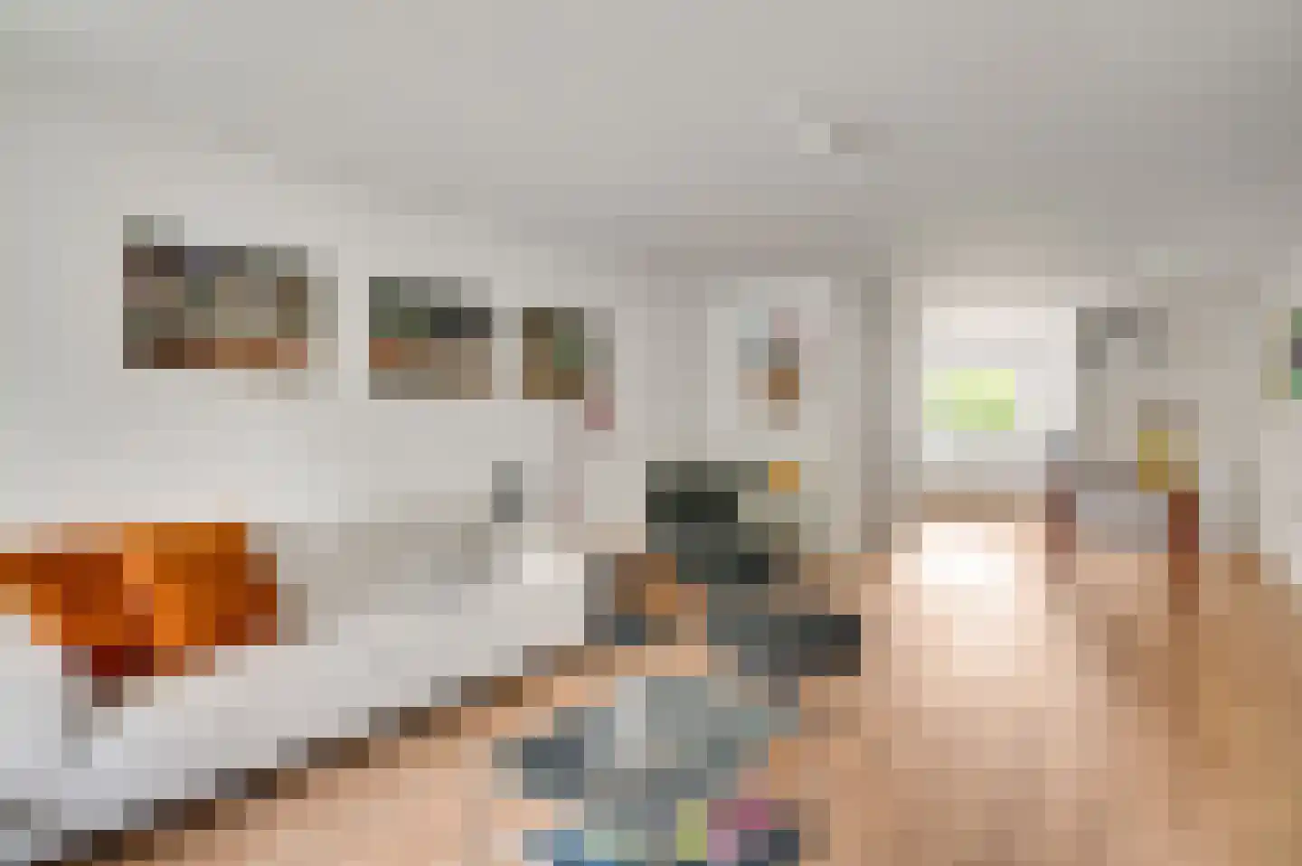 Sphinxlunet 36 B Maastricht thumbnail 6