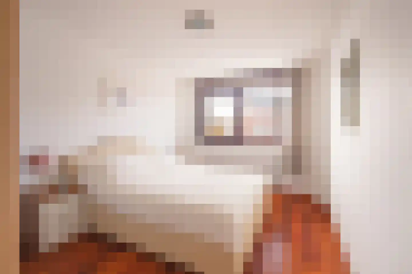 Sphinxlunet 38 E Maastricht thumbnail 10