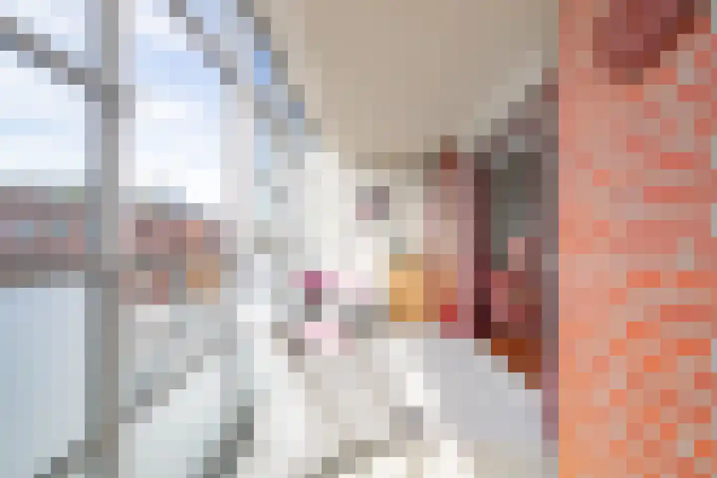 Sphinxlunet 38 E Maastricht thumbnail 4