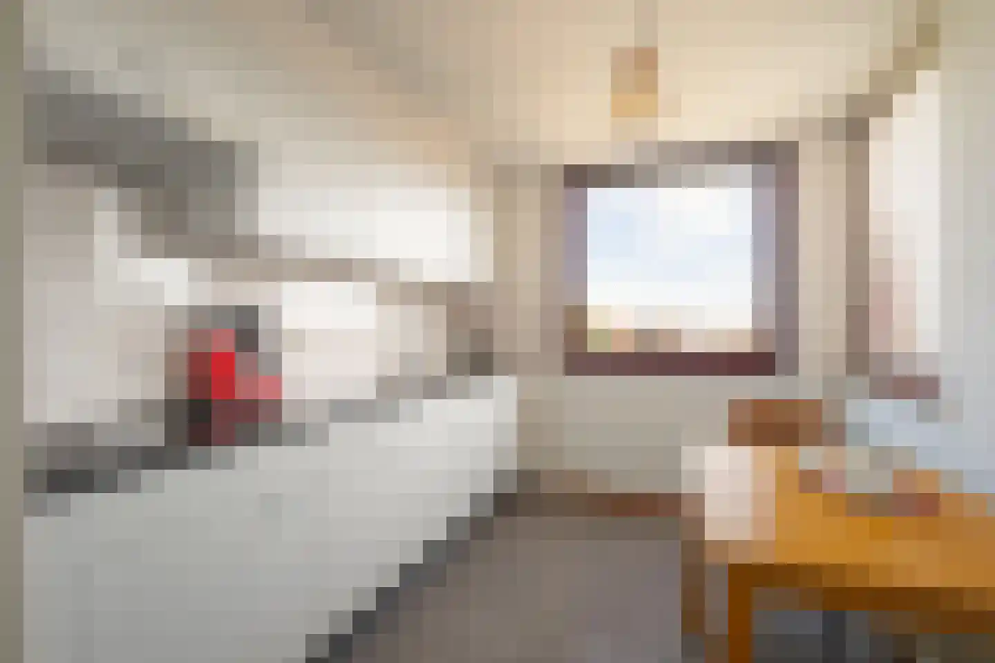 Sphinxlunet 38 E Maastricht thumbnail 7