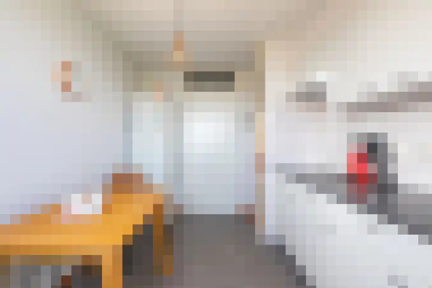 Sphinxlunet 38 E Maastricht thumbnail 8