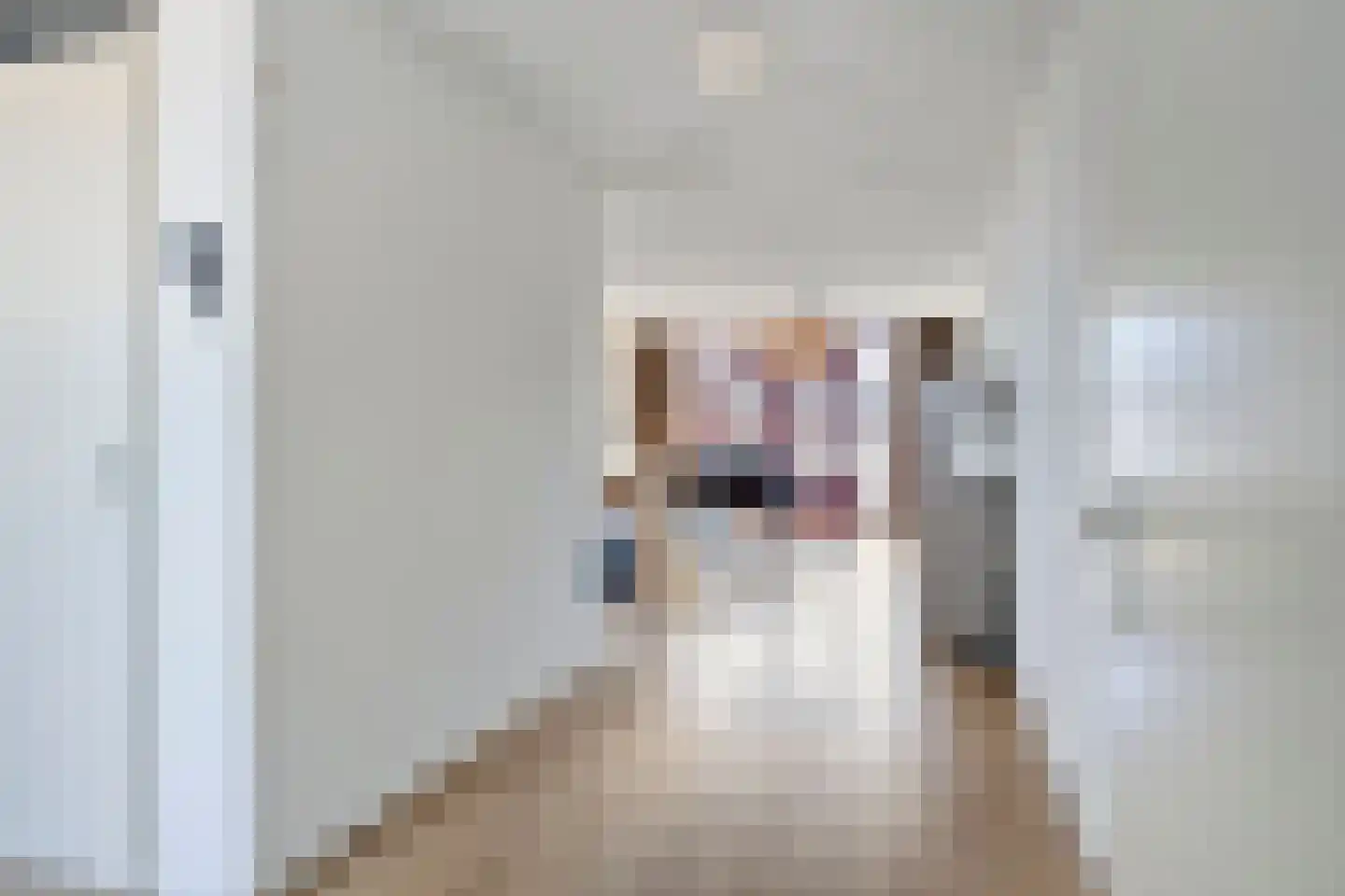 Sphinxlunet 38 F Maastricht thumbnail 7