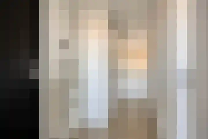 Sphinxlunet 42 C Maastricht thumbnail 11