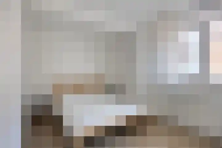 Sphinxlunet 42 C Maastricht thumbnail 13