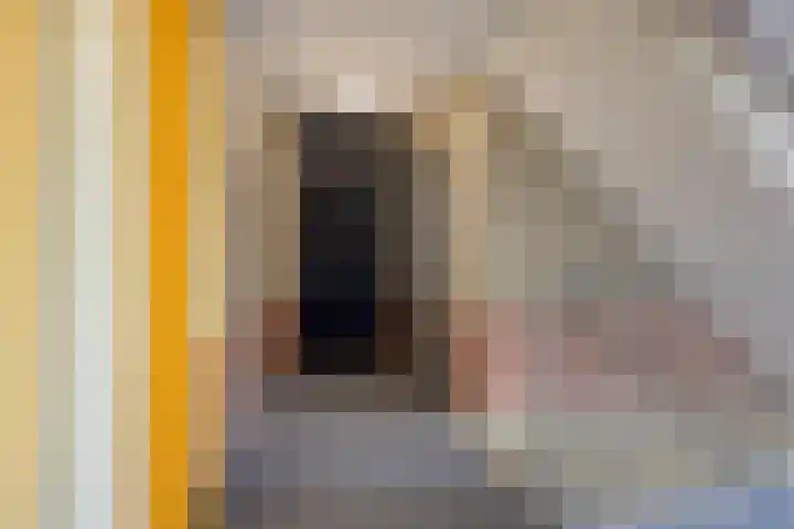 Sphinxlunet 42 C Maastricht thumbnail 22