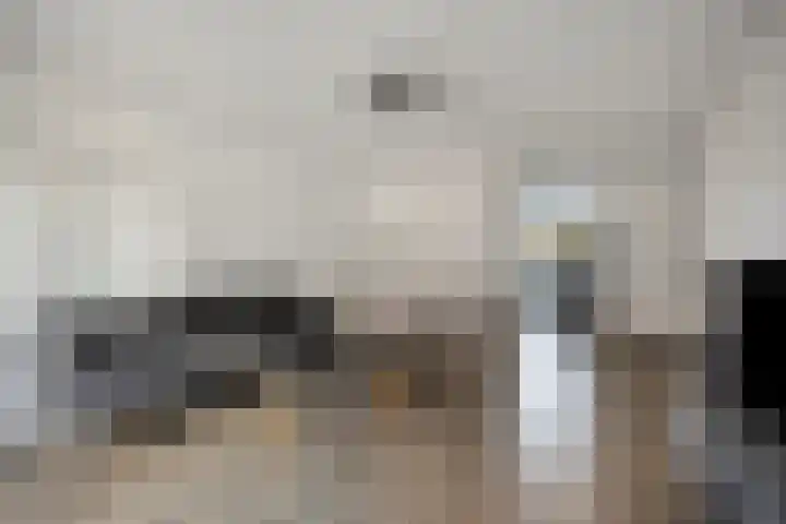 Sphinxlunet 42 C Maastricht thumbnail 4