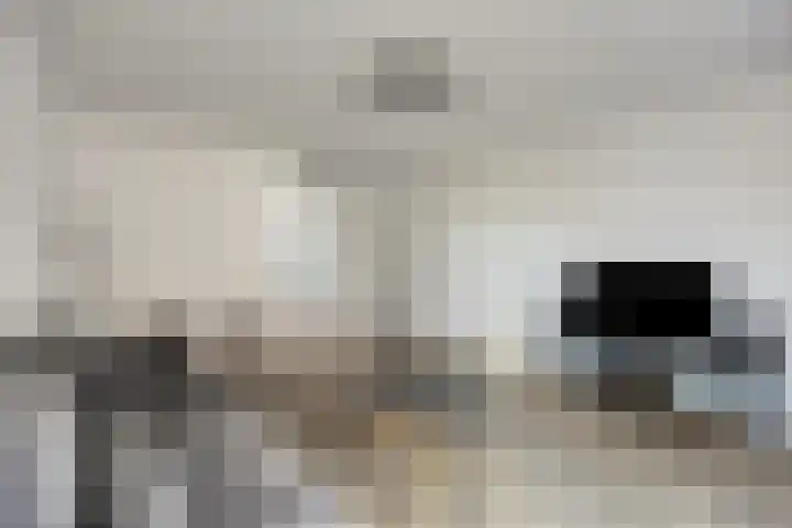 Sphinxlunet 42 C Maastricht thumbnail 5