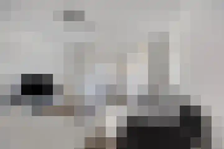 Sphinxlunet 42 C Maastricht thumbnail 7