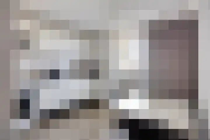 Sphinxlunet 42 C Maastricht thumbnail 9
