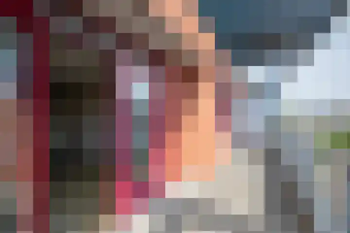 Sphinxlunet 46 A Maastricht thumbnail 18