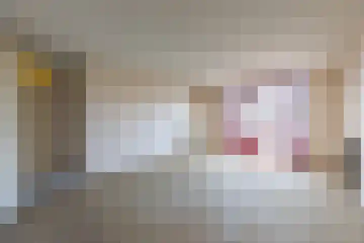 Sphinxlunet 46 A Maastricht thumbnail 8