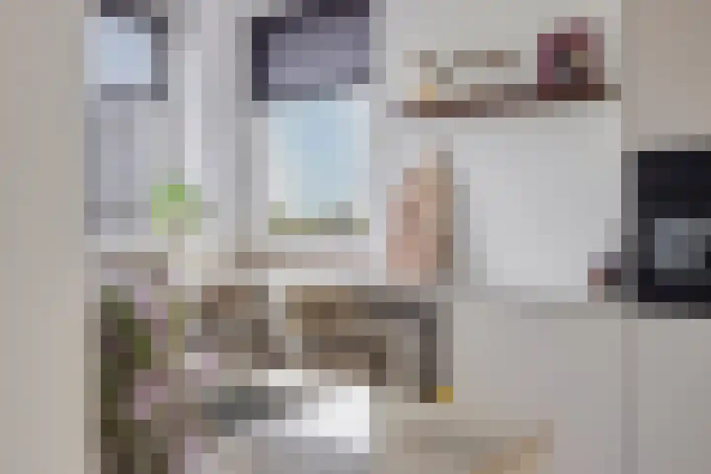 Sphinxlunet 46 F Maastricht thumbnail 24