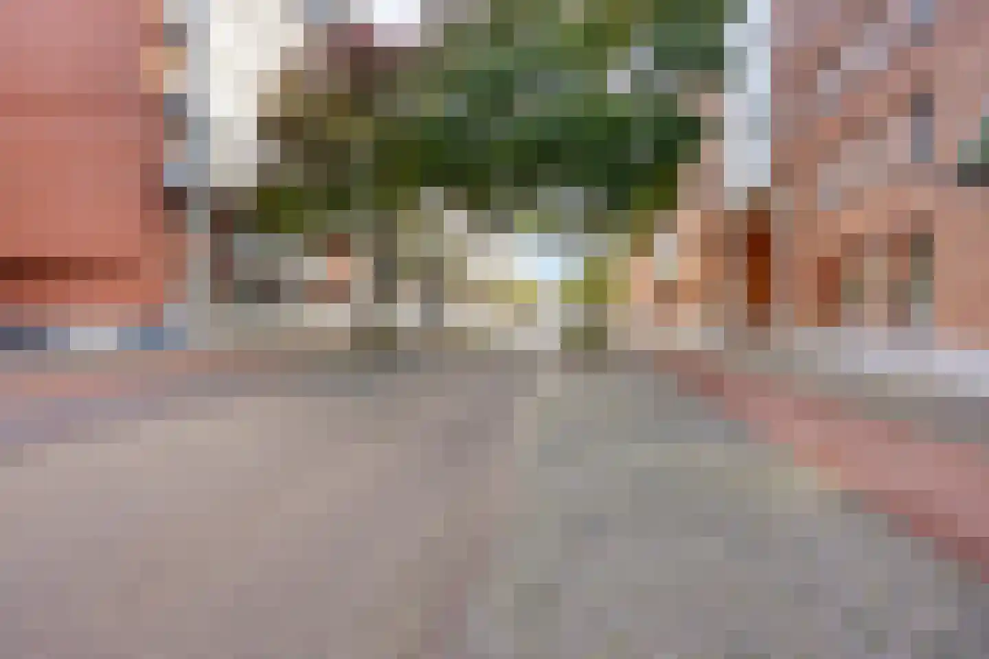 Sphinxlunet 46 F Maastricht thumbnail 42