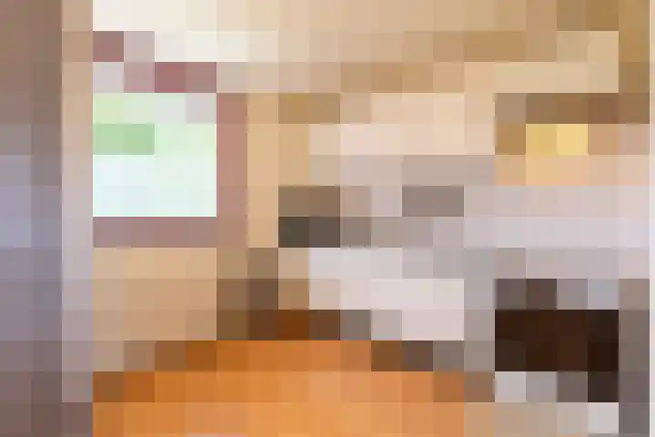 Sphinxlunet 48 D Maastricht thumbnail 11