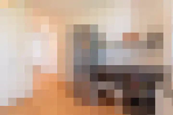 Sphinxlunet 48 D Maastricht thumbnail 12