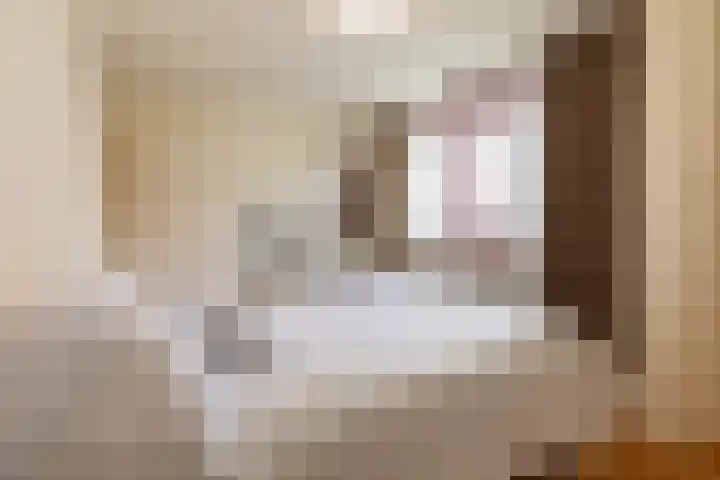 Sphinxlunet 48 D Maastricht thumbnail 17
