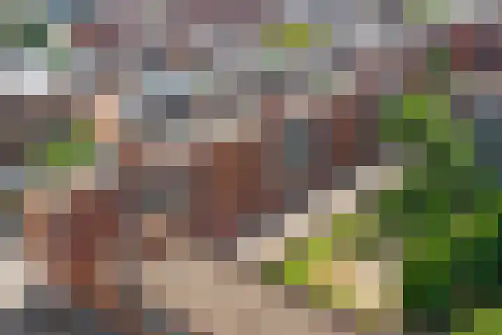 Sphinxlunet 48 D Maastricht thumbnail 19
