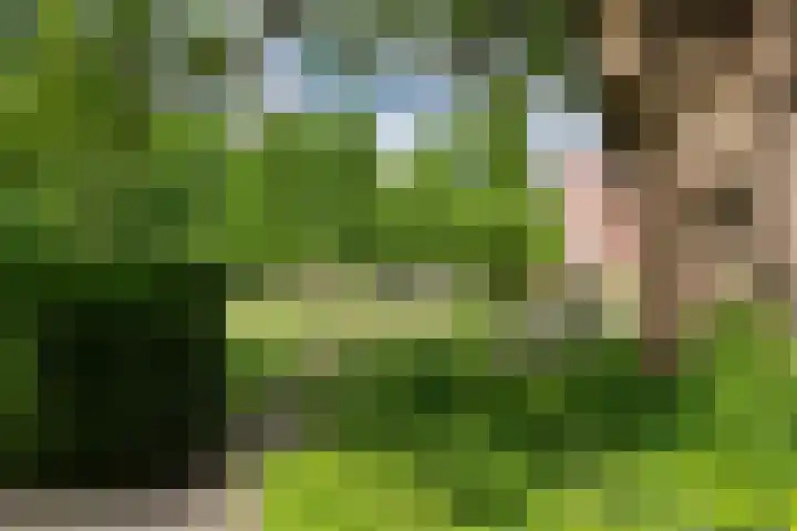 Sphinxlunet 48 D Maastricht thumbnail 22