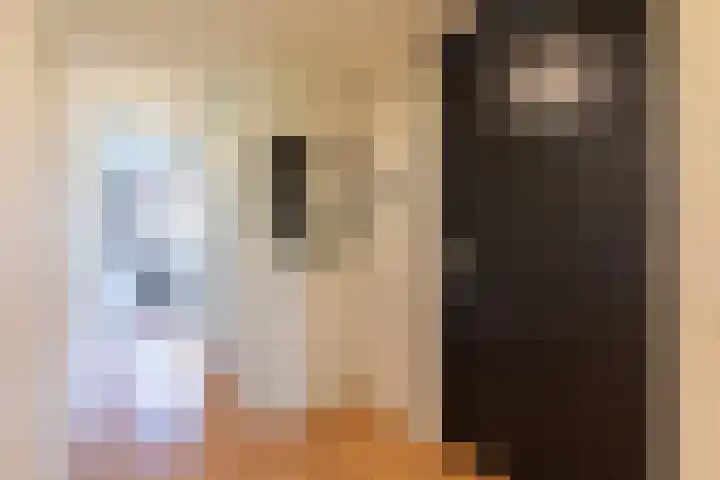 Sphinxlunet 48 D Maastricht thumbnail 5