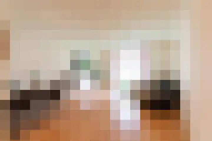 Sphinxlunet 48 D Maastricht thumbnail 8