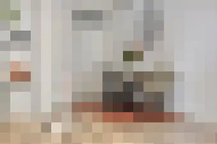 Sphinxlunet 52 D Maastricht thumbnail 10