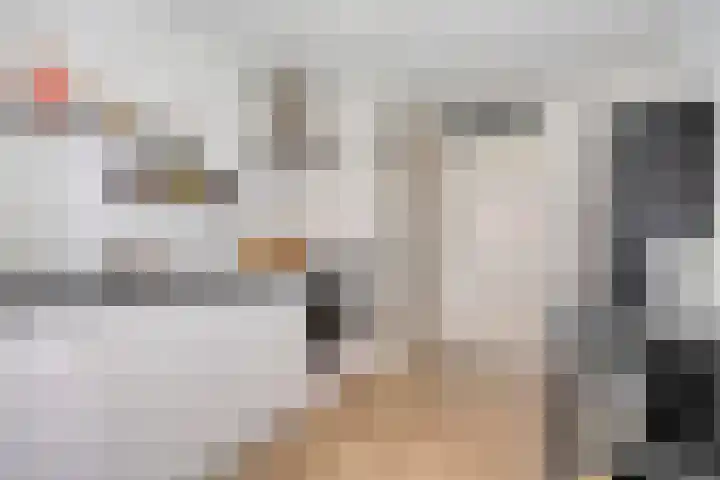 Sphinxlunet 52 D Maastricht thumbnail 15