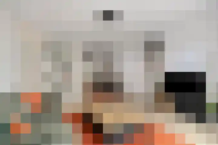 Sphinxlunet 52 D Maastricht thumbnail 17