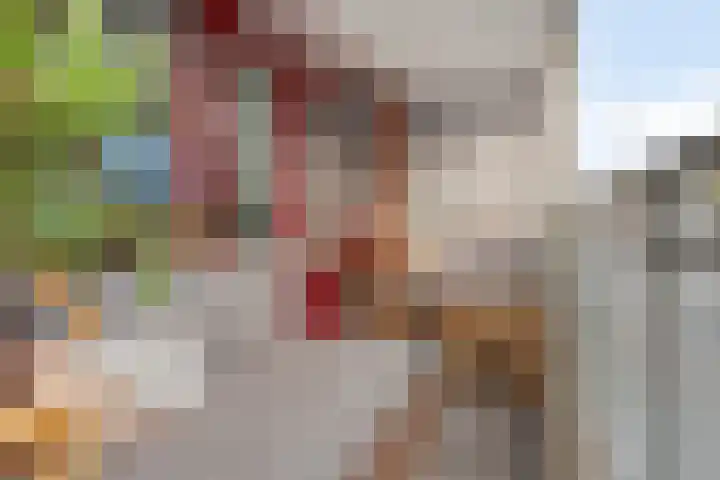 Sphinxlunet 52 D Maastricht thumbnail 21