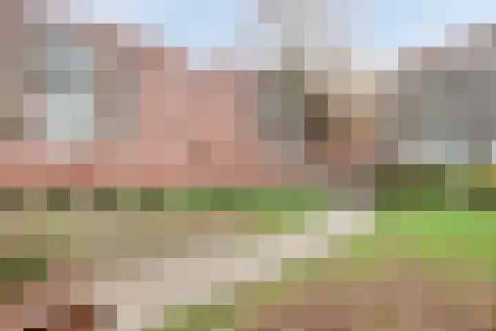 Sphinxlunet 52 D Maastricht thumbnail 33